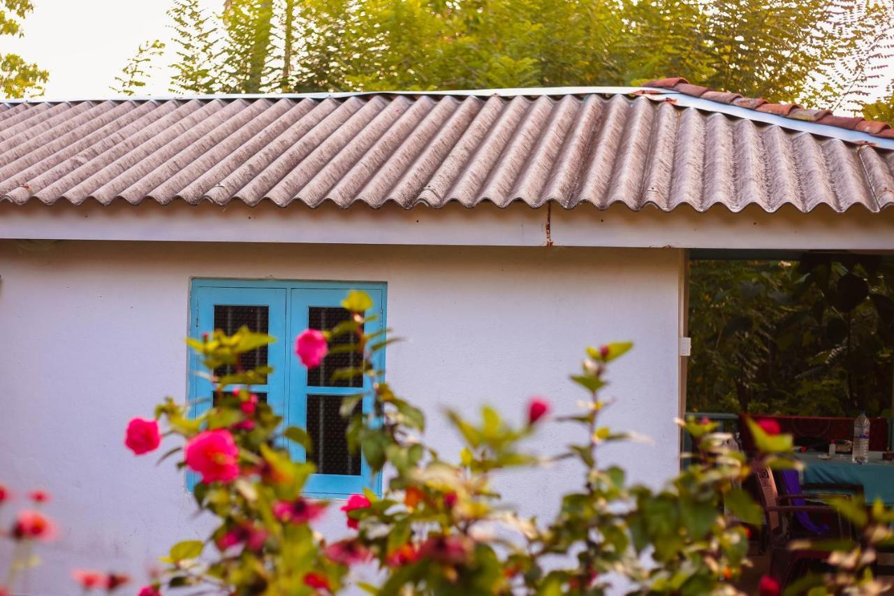 Tehan Homestay Dikwella Εξωτερικό φωτογραφία