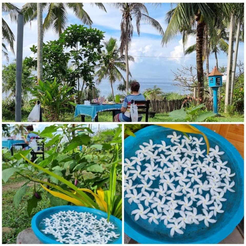 Tehan Homestay Dikwella Δωμάτιο φωτογραφία